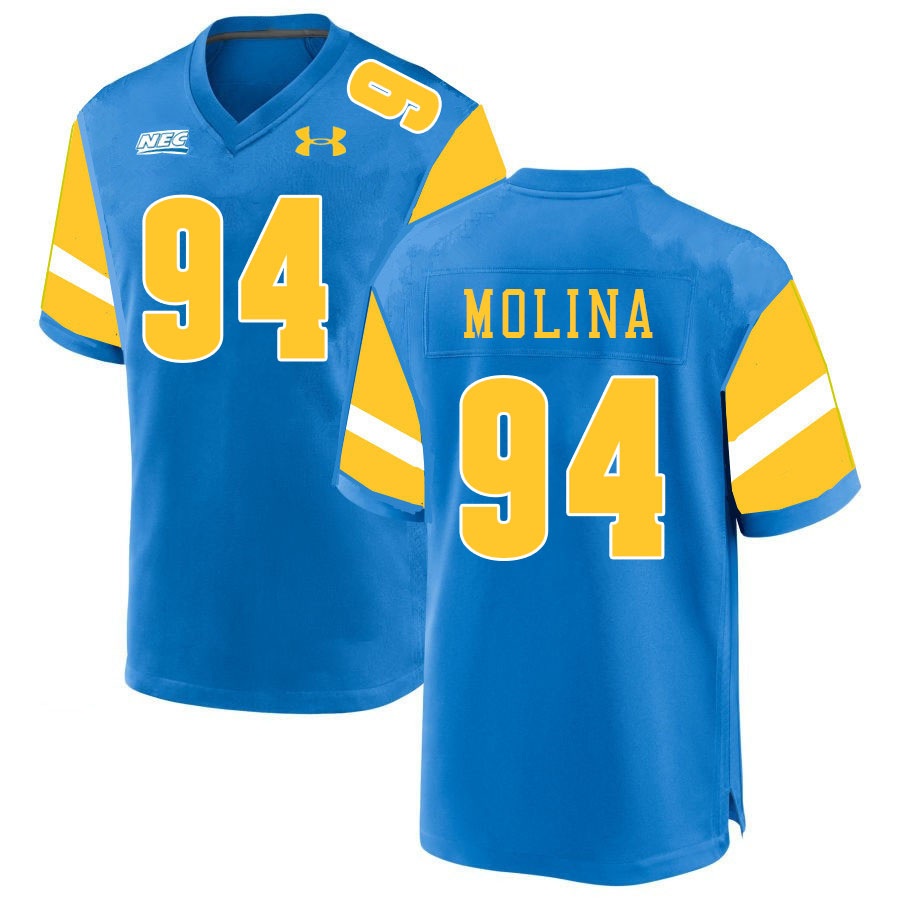 Men #94 Matthew Molina Long Island University Sharks College Football Jerseys Stitched-Blue